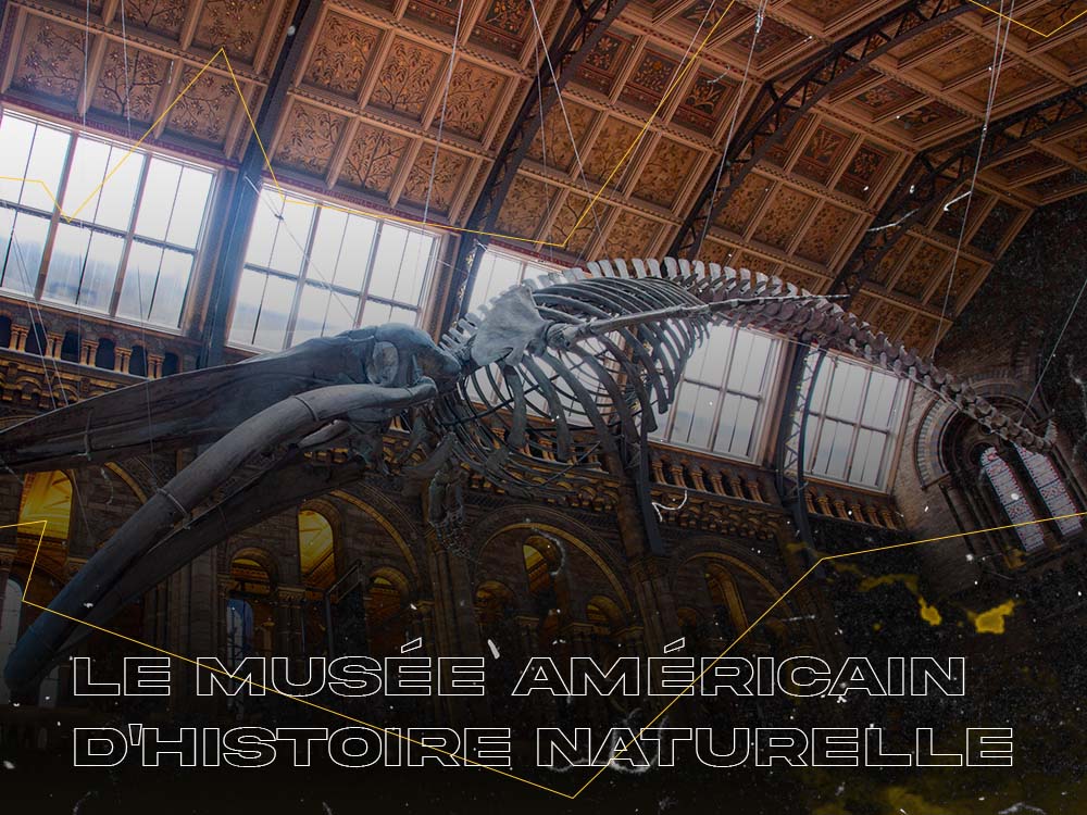 Musée Américain Histoire Naturelle